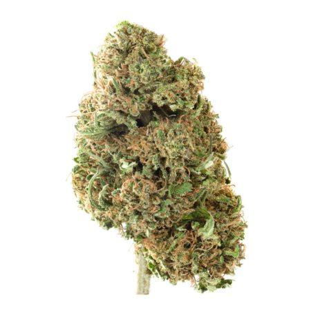 populist 12% CBD dried bud